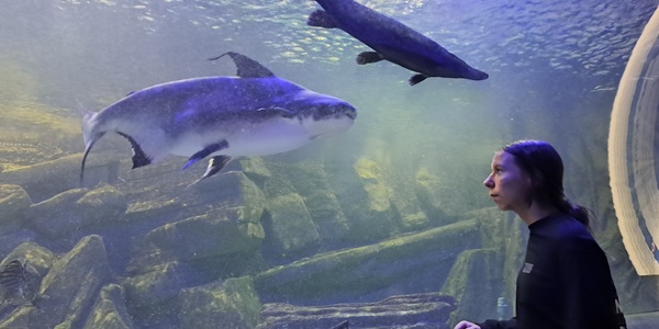 Uczennica Basia podziwiająca świat zwierząt w Oceanarium w Międzyzdrojach.jpg