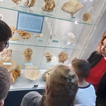 Uczniowie oglądający eksponaty w Uniwersyteckim Muzeum Przyrodniczym.jpg