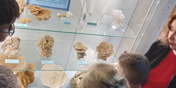 Uczniowie oglądający eksponaty w Uniwersyteckim Muzeum Przyrodniczym.jpg